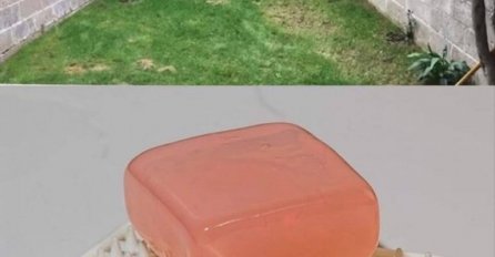 STAVILA JE SAPUN U DVORIŠTE, KOMŠIJE JOJ SE SMIJALE: A sad joj svi kopiraju IDEJU, ovo provjereno radi