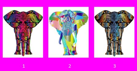 IZABERITE JEDNOG SLONA: Evo šta vas čeka u budućnosti, IMAMO PORUKU ZA VAS - pogađa do srži!