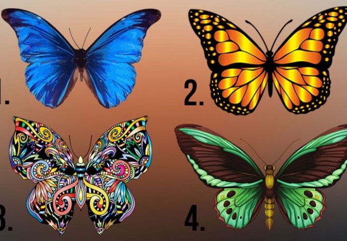 PSIHO TEST KOJI DJELUJE 100%: Odaberite najljepšeg leptira i on će otkriti sve O VAMA! Evo šta trebate uraditi za sreću