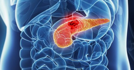 ORGAN KOJI DOSLOVNO ŽIVOT ZNAČI: 7 znakova da vaš pankreas ne radi kako treba i da morate da reagujete ODMAH!