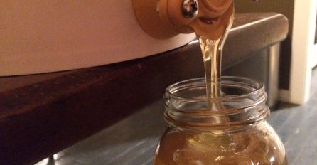 ZA 5 SEKUNDI PROVJERITE DA LI STE KUPILI PRAVI MED: Pčelarka pokazala sjajan trik, VIŠE VAS NIKO NEĆE PREVARITI