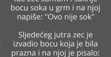 Vic dana: Zec, kornjača i sok