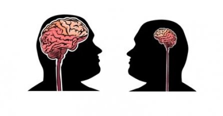 KAKO RAZLIKOVATI PAMETNU OSOBU OD GLUPE: 3 jednostavna načina ruskog pisca ĆE VAM SVE REĆI!