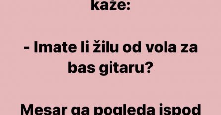 VIC: Ulazi lik u mesaru