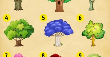 SAZNAJTE ŠTA VAS ČEKA U 2022. GODINI - Izaberite jedno drvo: Otkrivamo vašu budućnost, nekome se NE PIŠE DOBRO