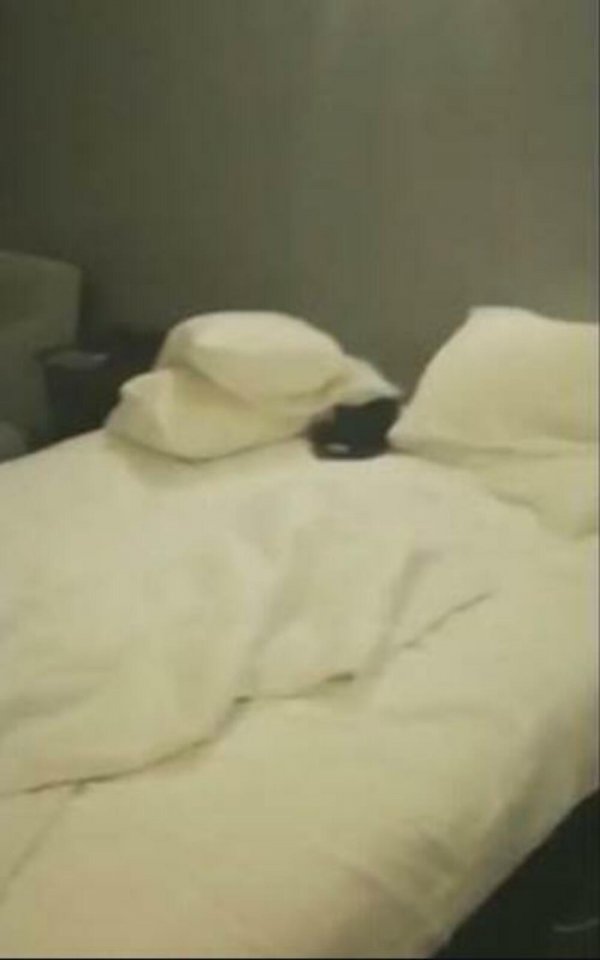 2860991-screenshot-5-ff