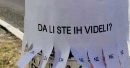 DA LI STE IH VIDJELI? Hit oglas zalijepljen je na banderi u SRBIJI, LJUDI U NEVJERICI KO SE IZGUBIO (FOTO)