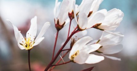 OBJAVLJEN HOROSKOP ZA NAREDNU SEDMICU, SAZNAJTE ŠTA VAS ČEKA: Prognoza za sve znakove Zodijaka,  1 ZNAK NEKA SE DOBRO PAZI