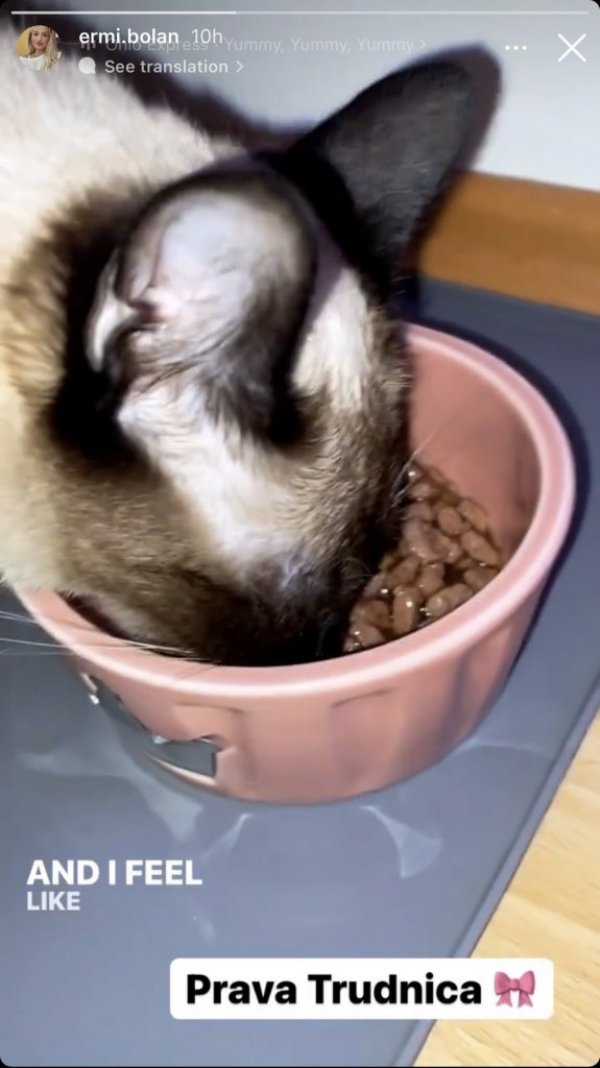 342569-0-02-05-19943e9d786dcff5dea5afd4ebd6f57d0ea5a3d4c28eb1b595d3e39a95eae94e-6386bb2e721e89d0-orig