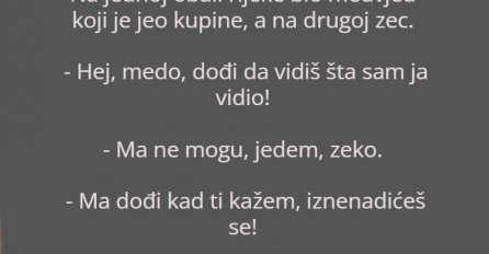 Vic dana: Medvjed i zec na rijeci