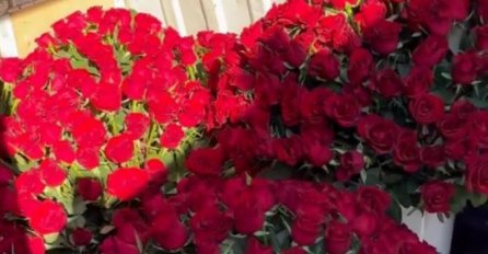 KAKAV PREOKRET! JELENA KARLEUŠA SA DUŠKOM TOŠIĆEM - OBJAVILA SNIMAK: Evo šta joj je poklonio za Valentinovo