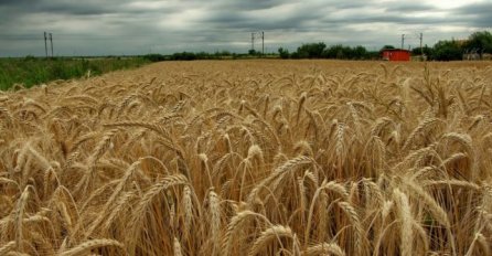 Šta će sve poskupjeti zbog ruskog napada na Ukrajinu