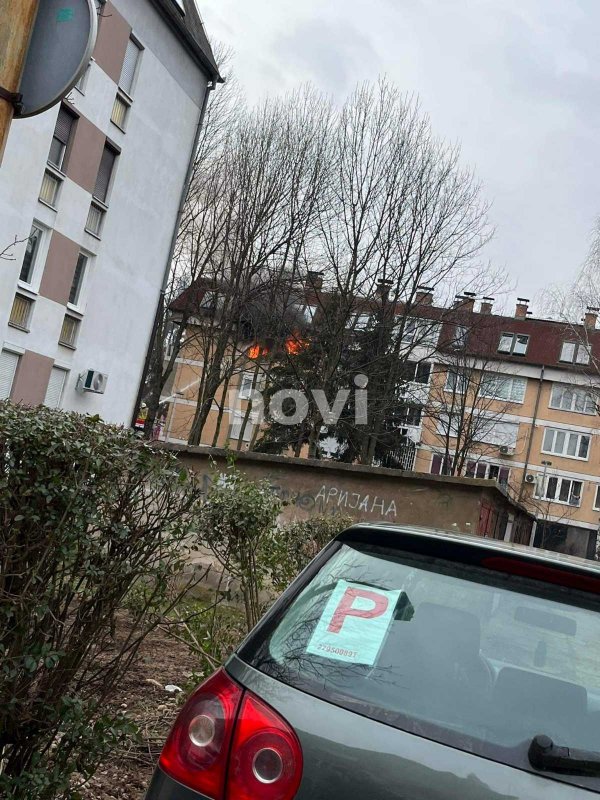 viber-image-2022-03-09-16-10-46-714