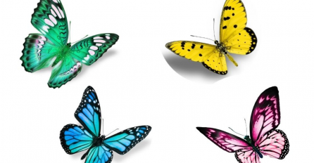 PSIHO TEST - IZABERITE NAJLJEPŠEG LEPTIRA  I OTKRIJTE NAJVEĆU TAJNU SVOJE DUŠE: Saznajte šta se krije u vašem srcu i kuda vas vodi!