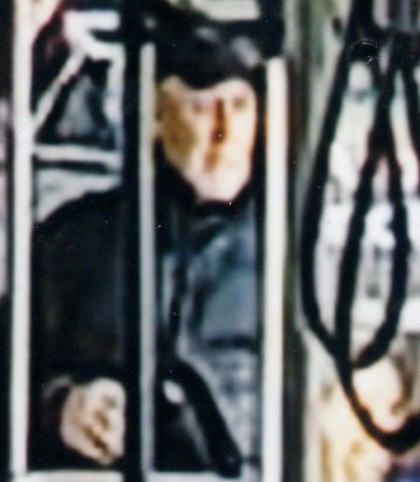 1647526504-nn-lice-rb-1