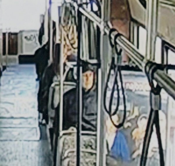 1647526405-nn-lice-rb1-750x711