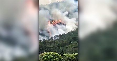 Kako je moguće da se kineski putnički avion srušio usred leta?