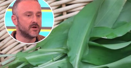 BILJKA KOJA SNIŽAVA HOLESTEROL, ČISTI KRVNE SUDOVE I UBIJA KANDIDU: Travar Momčilo otkrio 3 najefikasnija recepta