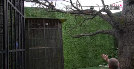 GOTOVO JE! BURAN RASKID I SVAĐA U EMISIJI: Odlučio da pobjegne iz Zadruge, preskočio ogradu nakon raskida (VIDEO)