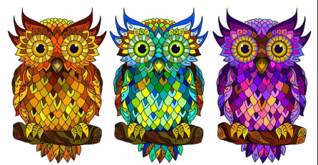 IZABERITE JEDNU SOVU SA SLIKE I SAZNAJTE KAKO VAS DRUGI LJUDI ZAISTA VIDE: Test koji otkriva vaše izražene osobine!