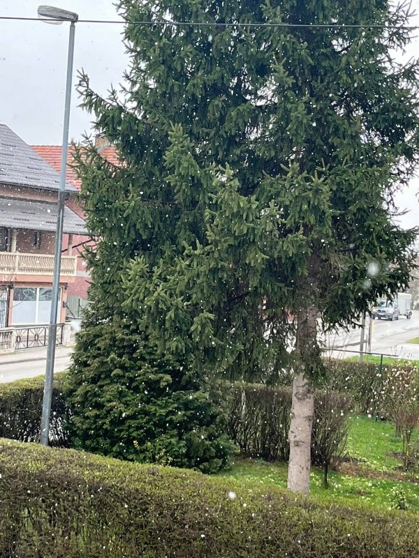 277685825-502376384746932-1555319601839589683-n