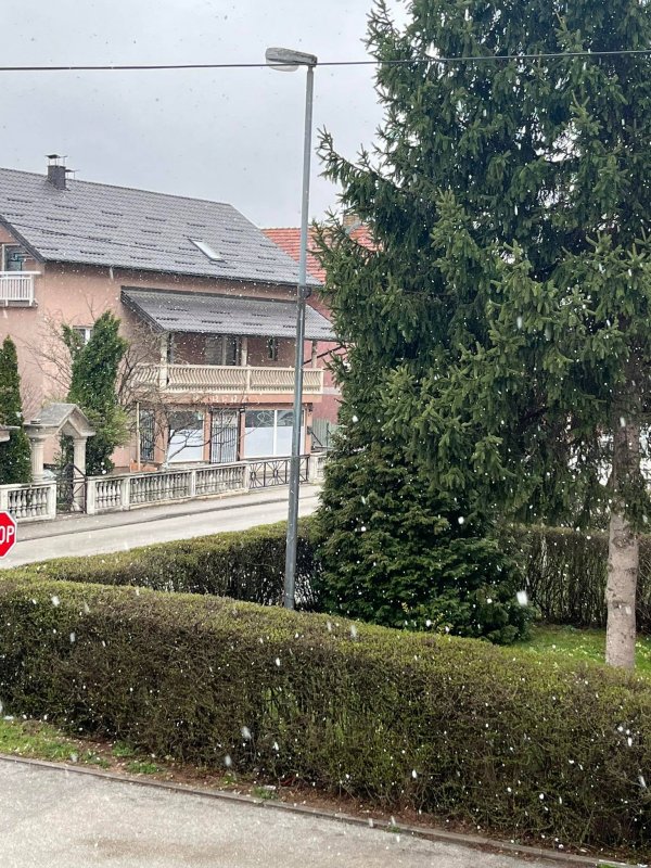 277595146-1100476570813326-1737547609086802715-n