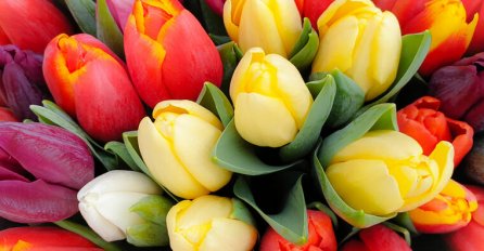 SAZNAJTE ŠTA STE U SLOVENSKOM HOROSKOPU: To će otkriti pravu istinu o vama!NAMA JE POGODILO