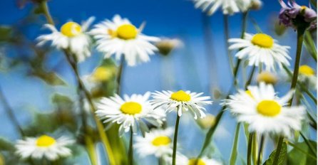 SEDMIČNI HOROSKOP PO ZNAKOVIMA OD 11.4. DO 17.4.  - DOBRO SE SPREMITE: Ovo su 3 najsretnija znaka, blago vama ako ste među njima 