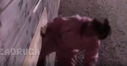 DALILA POBJEGLA IZ ZADRUGE! PROŠLA  KROZ ISTI PROLAZ KAO I JANJUŠ: Gotovo je, s njom otišla još jedna Zadrugarka (VIDEO)