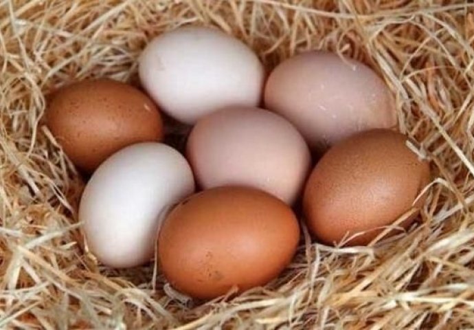 Znate li zašto su neka jaja smeđa, a neka bijela? Otkriven pravi razlog 