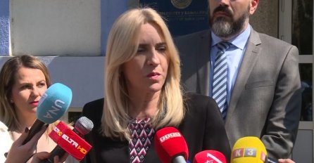 Cvijanović: Politička obaveza CIK-a je da SNSD ne smije imati četiri delegata