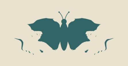 DOBRO SE ZAGLEDAJTE! ŠTA TAČNO VIDITE NA OVOJ SLICI: Provjerite šta vaš odgovor govori o  vama 