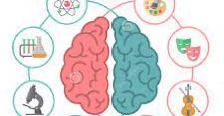 ŠTA VAS ČINI SRETNIMA PREMA VAŠEM TIPU MOZGA: Uporni vole preuzimati odgovornost, a oprezni osjećaj sigurnosti