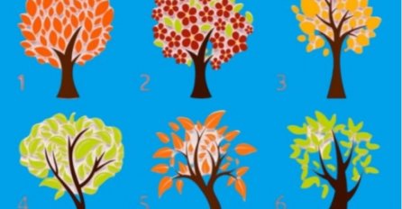 ODABERITE 1 DRVO SA SLIKE, A MI ĆEMO OTKRITI SVE O VAMA: Najtačniji test  ličnosti, svima je pogodilo