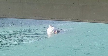 Ronioci izvukli tijelo vozača cisterne, evo u kakvom su stanju putnici iz kombija