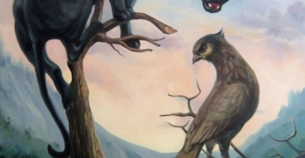 Panter, lice, ptica? ŠTA STE PRVO VIDJELI NA SLICI: Recite nam odgovor i saznajte šta to govori o vama