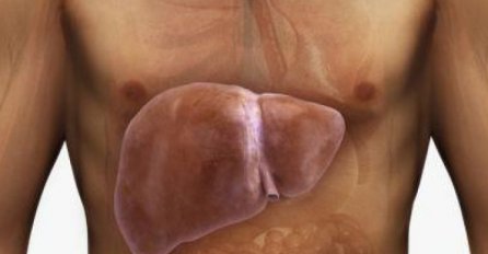 4 STVARI UNIŠTAVAJU JETRU: Jedna navika koju skoro svi imamo je najgora - ODMAH PRESTANITE OVO DA RADITE