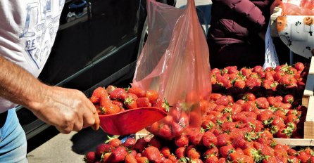 Priča o starcu i jagodama