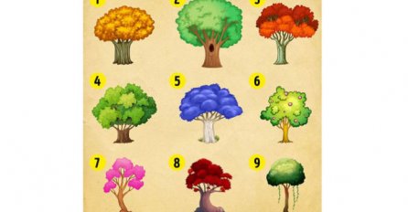 KAKVE PROMJENE VAS ČEKAJU U NAREDNOM PERIODU: Izaberite 1 drvo i saznajte šta vas čeka 