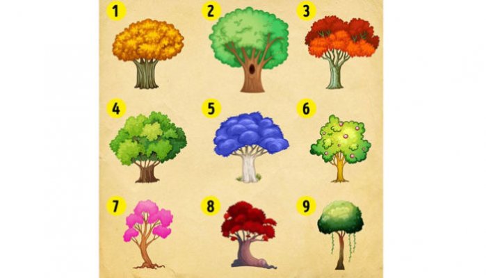 6724465-31509360-51-0-1511525821-1511525997-1499-1-1511525997-650-a9764f6d9e-1511769015-696x398