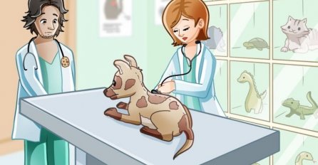 Mozgalica: Šta je pogrešno na ovoj slici?