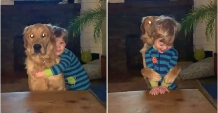 Vlasnici pasa često grle svoje pse, ali da li oni to vole?