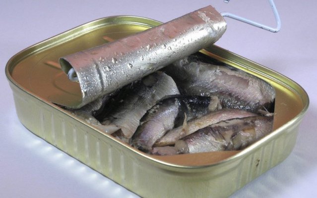 sardine-konzerva-810x507