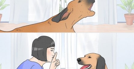 ZAŠTO PSI LAJU NA NEKE LJUDE, A NA NEKE NEĆE? Otkriven razlog, PSI VIDE NEŠTO ŠTO LJUDI NE MOGU!