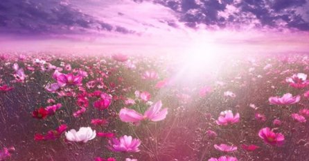 4 NAJSRETNIJA DANA U JUNU, ZAPIŠITE OVE DATUME: Spremite se za iznenađenja, STIŽE I VELIKA LOVA