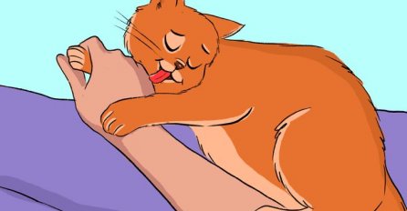 ZAŠTO VAS VAŠA MAČKA GRIZE ZA RUKE: Obratite pažnju, evo šta to znači 