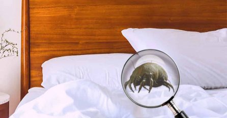 KOLIKO PUTA MJESEČNO MJENJATE  POSTELJINU? Ako je OVO vaš odgovor onda morate OZBILJNO da se zabrinete!