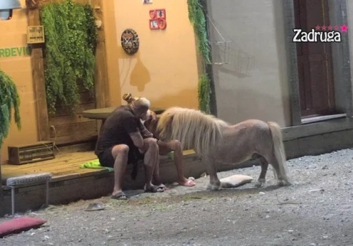 NOVI KRUG PAKLA! CAR USPIO DA UBIJEDI DALILU: Evo gdje su otišli (VIDEO)