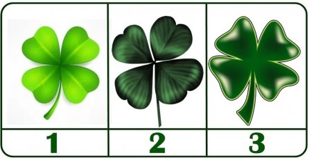 IZABERITE JEDNU DJETELINU: Recite nam broj, a mi vam otkrivamo da li vas u životu čeka sreća