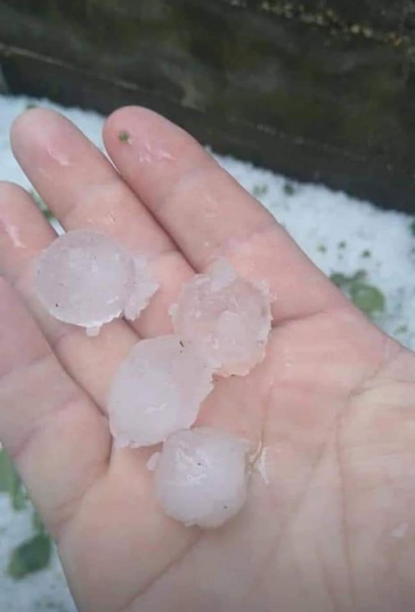 284004772-2125260240989868-2350744007839695184-n